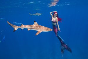 Retreat and Mermaid School Palau