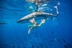 Retreat for Mermaids and Mermen in Palau (March 2027)
