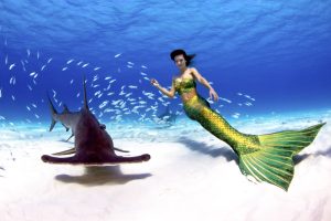 Australian Mermaid swimming with Hammerhead Sharks