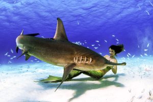 Mermaid Kat and hammerhead shark