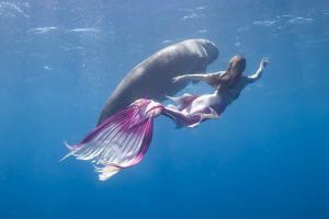 Professional Mermaid swims with Dugong