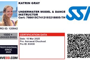 Mermaid Kat is a qualified SSI Unterwasser Model and Underwater Dance Instructor