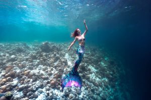 Perth Mermaid and Underwater Model Mermaid Kat
