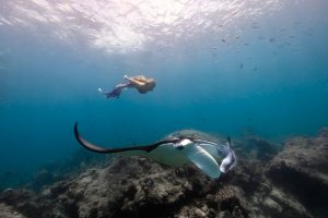 Mermaid Retreat Maldives